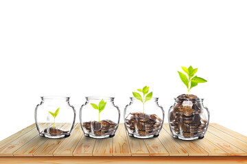 Growing Plants in money in the glass. on transparent background with clipping path, - Investment...