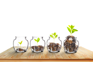 Growing Plants in money in the glass. on transparent background with clipping path, - Investment and Interest Ideas. Money growing plant with fiery light effect - money growing concept.