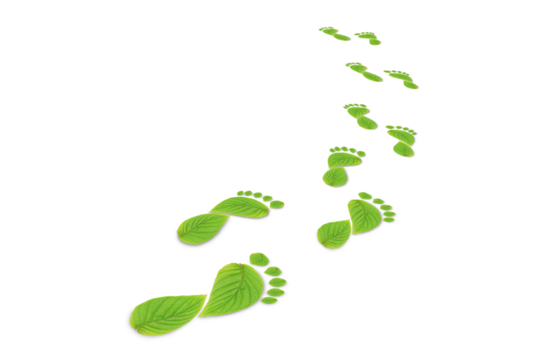 green leaf growing footprints, co2 symbol isolated on White Background. Reduce CO2 emission concept.Clean and friendly environment without carbon dioxide emissions. - Powered by Adobe