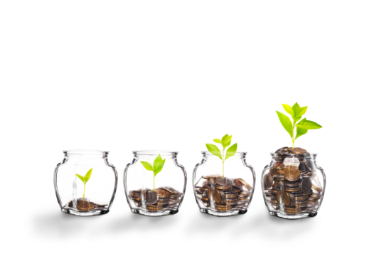 Growing Plants in money in the glass. on transparent background with clipping path, - Investment and Interest Ideas. Money growing plant with fiery light effect - money growing concept.