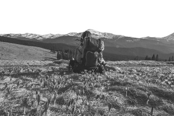 Female adventurer with backpack and small dog sitting isolated JPG hand drawn sketch style. Black and white photo-realistic pencil drawing. Cut out scene illustration on white for website design