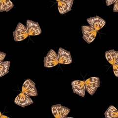 Seamless Pattern with Hand Drawn Colorful Butterflies on Black Background. Digital Paper with Butterfly.