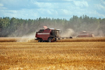 harvesters in a field in a wheat field. Farmer harvesting