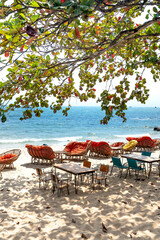Tables and chairs of a cafe under leaf canopy of the big tree the beautiful Terminalia catappa on the beach near Sihanoukville port
