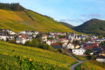 Weinberge bei Ockfen