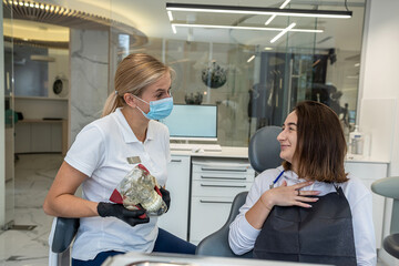 female dentist holds model of  jaw and teeth on which she explains  structure to girl patient.
