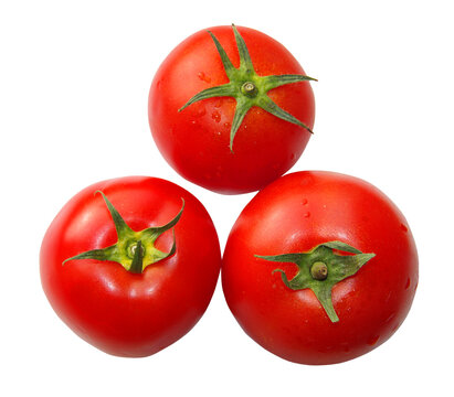 Three red ripe tomatoes isolated on transparent background.