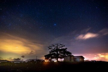 Naklejka na ściany i meble Starry night landscape with trees and the small house