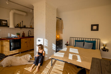 Interior of stylish and sunny studio apartment with bedroom and kitchen. Woman with dog spending leisure time at home