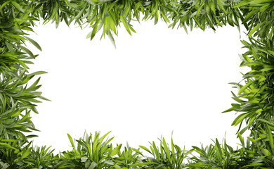 Fototapeta na wymiar Green plant frame on transparent background, center space, 3d render illustration.