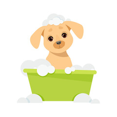 Cute dog sits in a bowl of soap bubbles