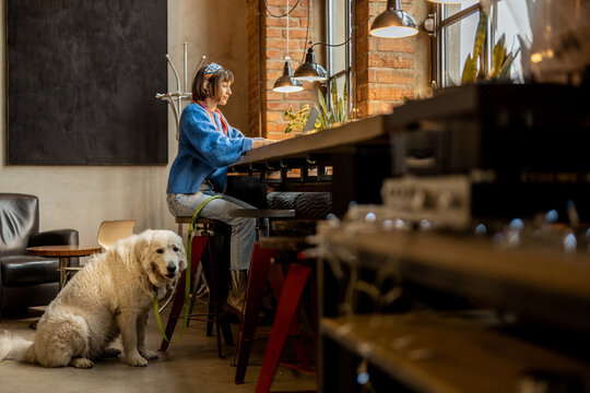 Woman sits with her cute adorable dog at modern coffee shop and works on laptop. Pet friendly places and modern digital lifestyle concept