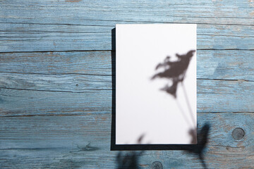 Canvas mockup, white blank picture hanging on blue wooden wall with dark shadows of dried flowers. Poster mock up, empty canvas with shadows of plant
