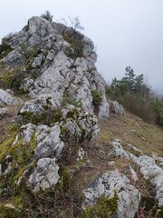 Rezerwat Przyrody Góra Miedzianka w Górach Świętokrzyskich