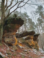 Rezerwat Skałki Piekło pod Niekłaniem w górach Świętokrzyskich