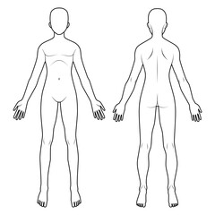 人体図　前面背面男性