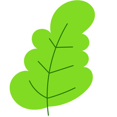 Green Leaf Illustration