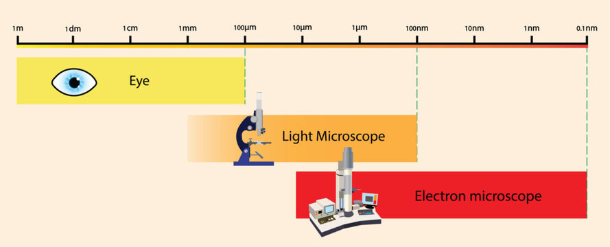 illustration of physics, Looking at small objects with the eye and with light microscope and electron microscope, Light versus Electron Microscopy