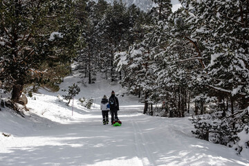 Family in winter sports training their child in a sled