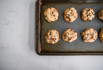 Freshly baked chocolate chip cookies cooling on a sheet pan shot from