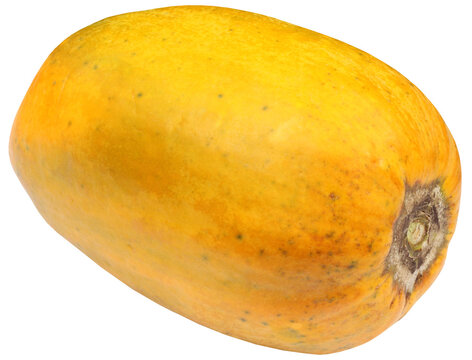 Nutritious fresh papaya