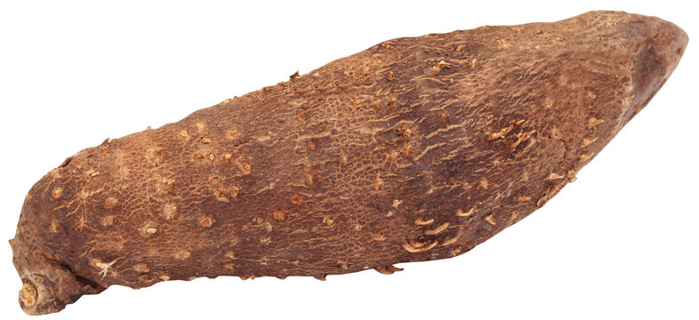 Greater yam