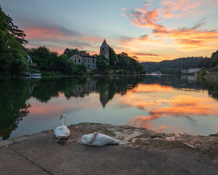Swans perching at Ile Barbe against sky during sunset