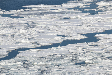 Winter sea ice in northern Japan, Abashiri, Hokkaido © Alexandra Scotcher