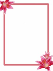 Obraz premium Pink Lilies Background and Frame