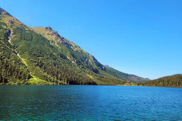 a magnificent view - the blue-turquoise expanse of the lake, surrounded by high mountains on one side and coniferous forest on the other. Stones growing out of species and tree branches.