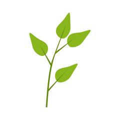 Green Leaf Illustration