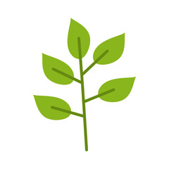 Green Leaf Illustration