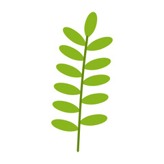 Green Leaf Illustration