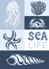 Sea life. Creative aesthetic graphic poster. Underwater animals: starfish, shells, corals. Ideal for postcard, advertisement, book, poster, banner. Vector illustration