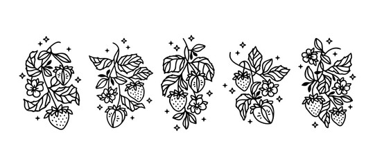 Hand drawn vintage strawberry plant and floral vector line art illustration for logo, brand, organic food products, label, stickers, nature objects
