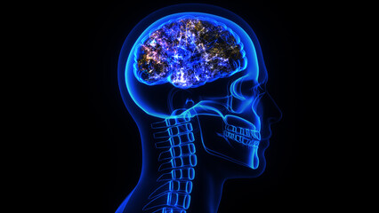 3d rendering of a human head, skull and brain electrical activity