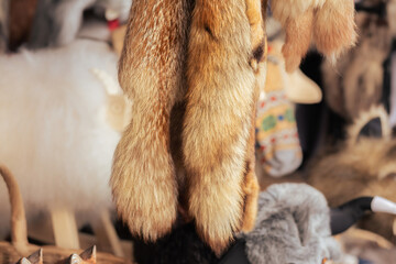 Fox fur and fur displayed in a shop.