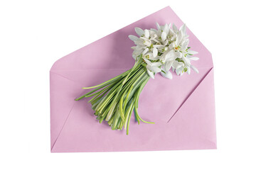 Bouquet of spring snowdrop primroses and a pink envelope . View from above. PNG Isolate on white. 