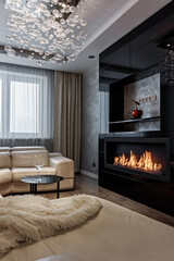 Bio Fireplace burn on ethanol gas. Contemporary mount biofuel on ethanol fireplace fireplace....