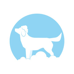 Dog logo with soapy suds for grooming