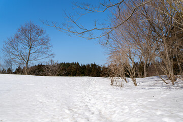 石川県金沢市にある医王山、白兀山を雪山登山している風景 Scenery of snow climbing Mt. Iozen and Mt. Shirahage in Kanazawa City, Ishikawa Prefecture, Japan.