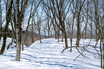石川県金沢市にある医王山、白兀山を雪山登山している風景 Scenery of snow climbing Mt. Iozen and Mt. Shirahage in Kanazawa City, Ishikawa Prefecture, Japan.