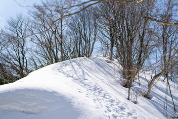 Obraz premium 石川県金沢市にある医王山、白兀山を雪山登山している風景 Scenery of snow climbing Mt. Iozen and Mt. Shirahage in Kanazawa City, Ishikawa Prefecture, Japan.