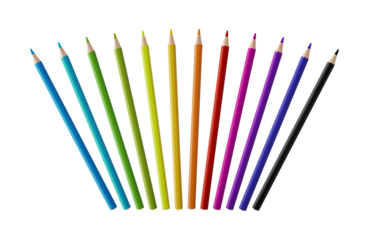 Set of color wooden pencil collection on white background