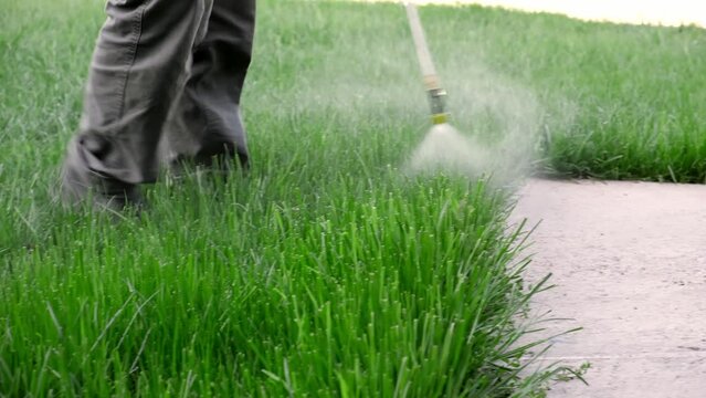 Farmer spraying pesticide on lawn field wearing protective clothing. Treatment of grass from weeds and dandelion. Pest control. Insecticide sprayer with a proper protection. Gardening care season.