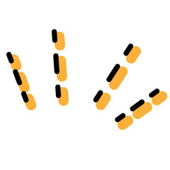 강조와 집중 표현 아이콘	
