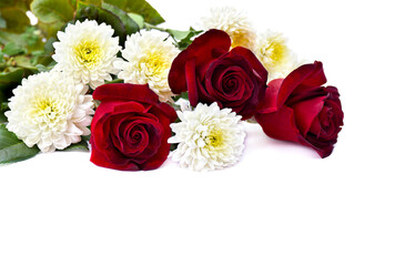 Red roses and chrysanthemums on white background with space for text