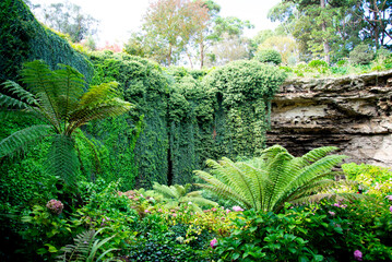 Umpherston Sinkhole - Mount Gambier - Australia