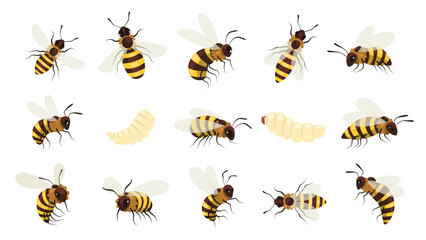 Honey bee bug. Winged buzz flying insect, striped bumblebee wasp with sting, beekeeping mead gathering honeycraft concept. Vector cartoon set - obrazy, fototapety, plakaty