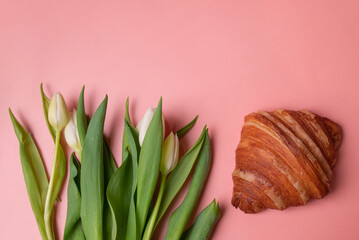 white tulips and croissant on a pink background with space for text